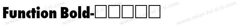 Function Bold字体转换